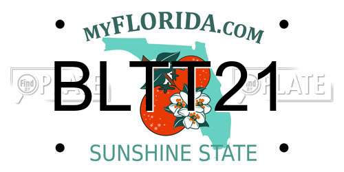 BLTT21 Florida License Plate