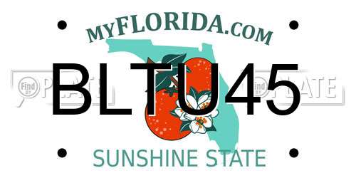 BLTU45 Florida License Plate