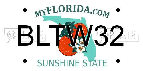 BLTW32 Florida License Plate