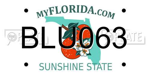 BLU063 Florida License Plate