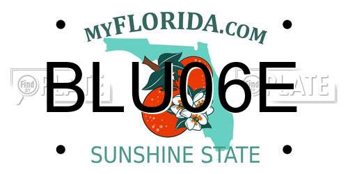 BLU06E Florida License Plate