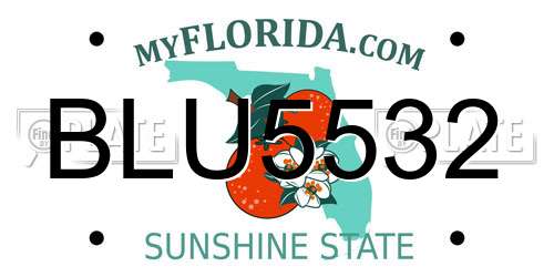 BLU5532 Florida License Plate