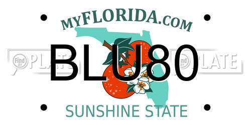 BLU80 Florida License Plate
