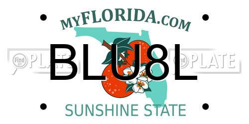 BLU8L Florida License Plate