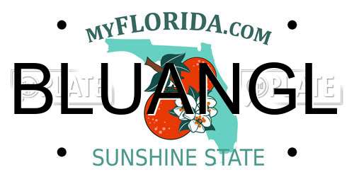 BLUANGL Florida License Plate