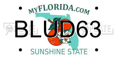 BLUD63 Florida License Plate