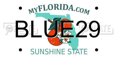 BLUE29 Florida License Plate