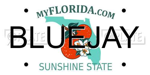 BLUEJAY Florida License Plate