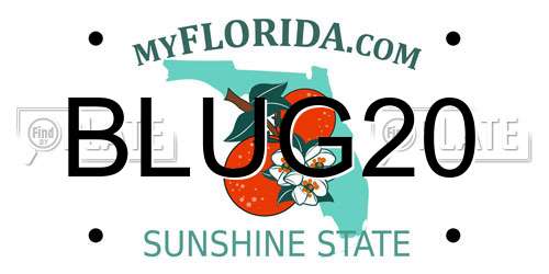 BLUG20 Florida License Plate