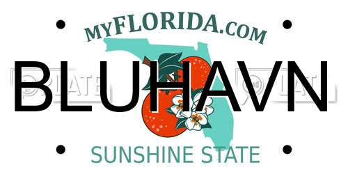 BLUHAVN Florida License Plate