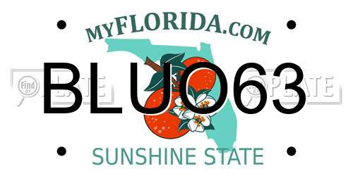 BLUO63 Florida License Plate
