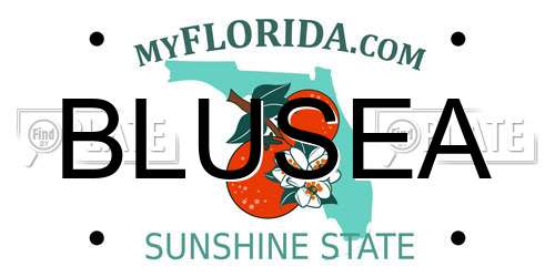 BLUSEA Florida License Plate