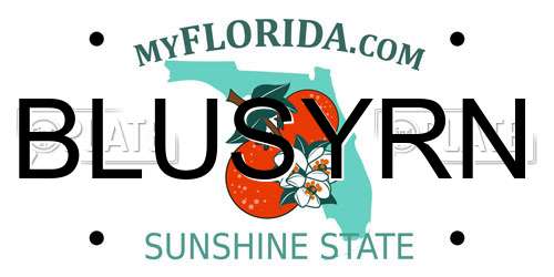 BLUSYRN Florida License Plate