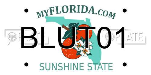 BLUT01 Florida License Plate