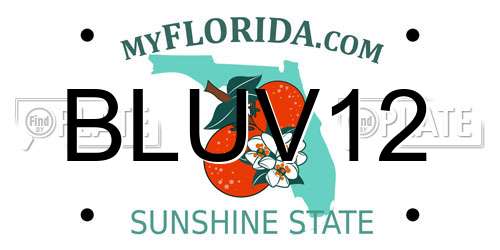 BLUV12 Florida License Plate