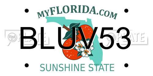 BLUV53 Florida License Plate