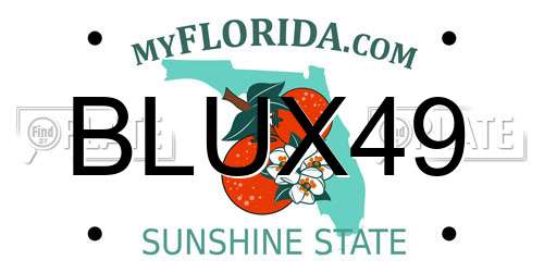 BLUX49 Florida License Plate