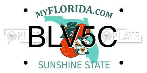 BLV5C Florida License Plate
