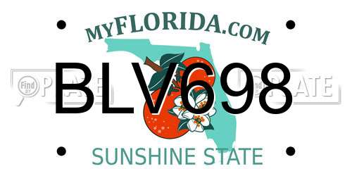 BLV698 Florida License Plate