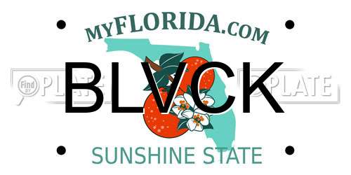 BLVCK Florida License Plate
