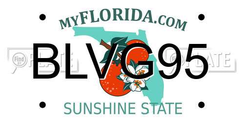 BLVG95 Florida License Plate