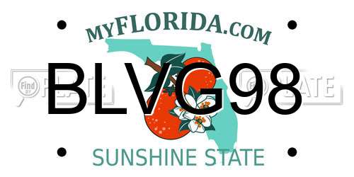 BLVG98 Florida License Plate