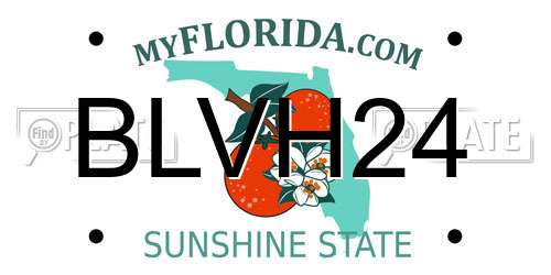 BLVH24 Florida License Plate