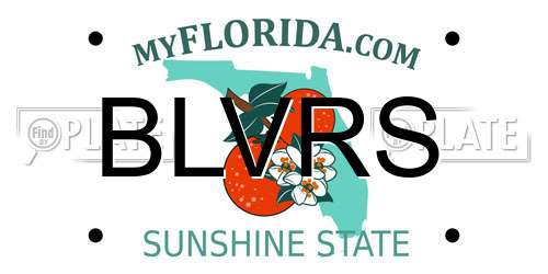 BLVRS Florida License Plate