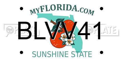BLVV41 Florida License Plate
