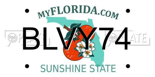 BLVY74 Florida License Plate