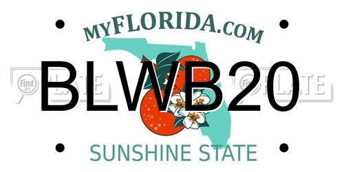 BLWB20 Florida License Plate
