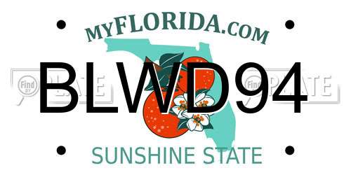 BLWD94 Florida License Plate