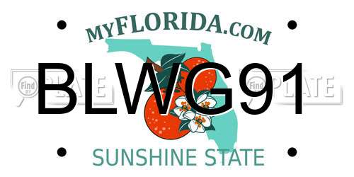 BLWG91 Florida License Plate