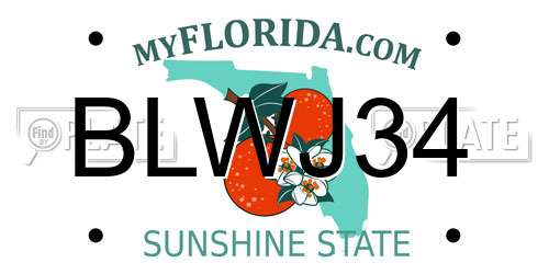 BLWJ34 Florida License Plate
