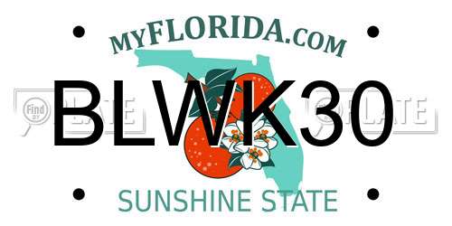 BLWK30 Florida License Plate
