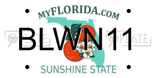 BLWN11 Florida License Plate