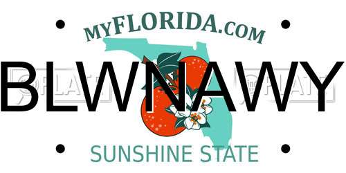 BLWNAWY Florida License Plate