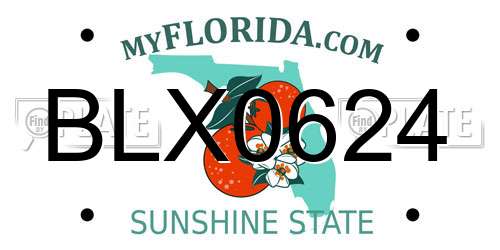 BLX0624 Florida License Plate