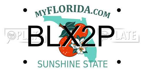 BLX2P Florida License Plate