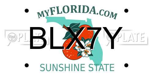 BLX7Y Florida License Plate