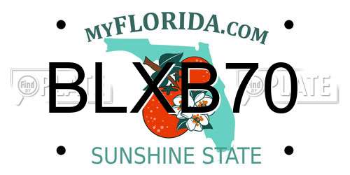 BLXB70 Florida License Plate