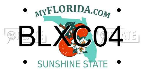 BLXC04 Florida License Plate