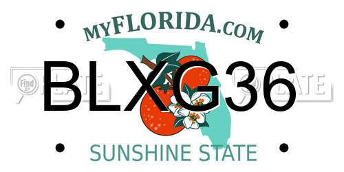 BLXG36 Florida License Plate