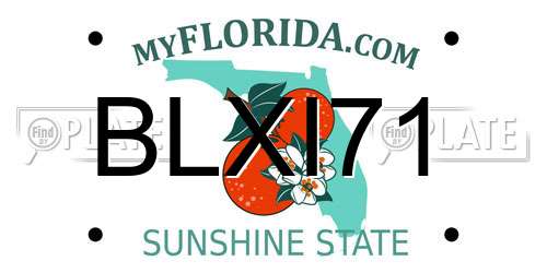 BLXI71 Florida License Plate