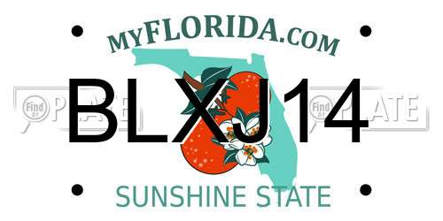 BLXJ14 Florida License Plate
