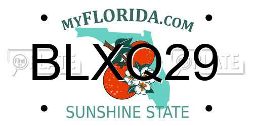 BLXQ29 Florida License Plate