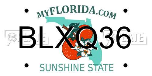 BLXQ36 Florida License Plate
