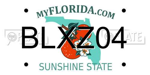 BLXZ04 Florida License Plate