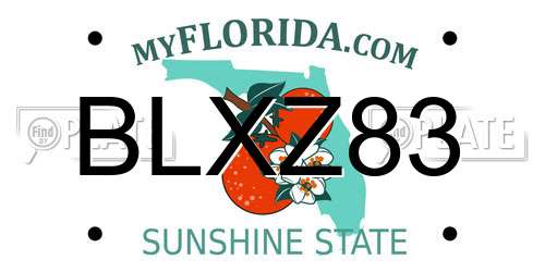 BLXZ83 Florida License Plate