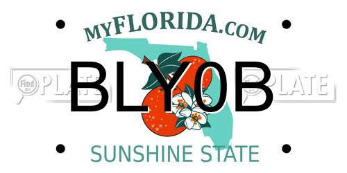 BLY0B Florida License Plate
